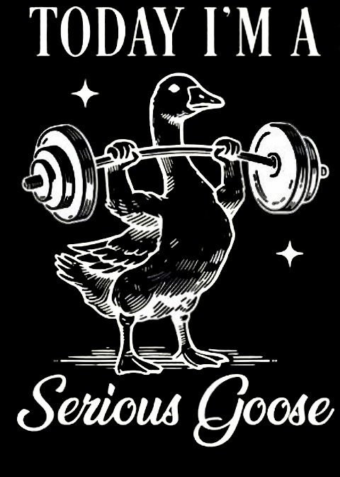 Today I'm a Serious Goose