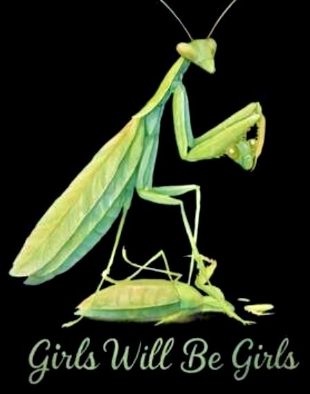 Girls will be Girls (mantis)